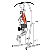 OAPU (One Arm Pull Up)